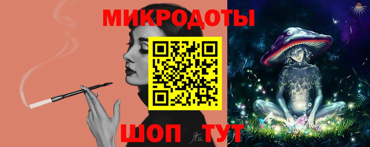 Галлюциногенные грибы Psilocybine cubensis Вышний Волочёк